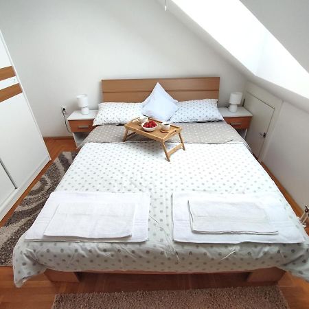 Apartman Ns Dan Private Parking Novi Sad Extérieur photo