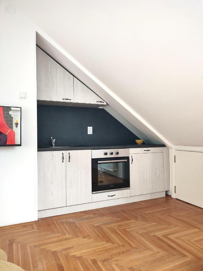 Apartman Ns Dan Private Parking Novi Sad Extérieur photo