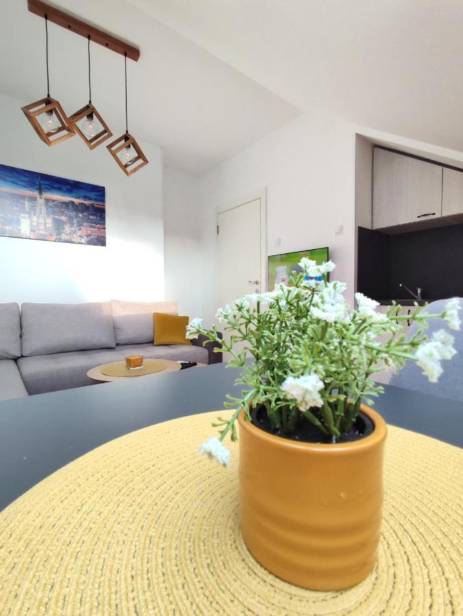 Apartman Ns Dan Private Parking Novi Sad Extérieur photo